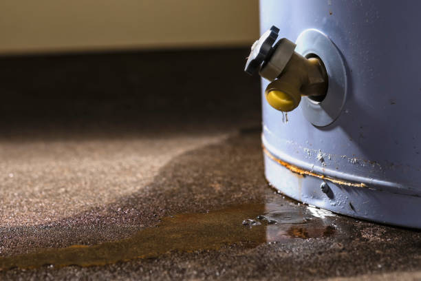 Best 24-hour water damage restoration  in Littleton Common, MA