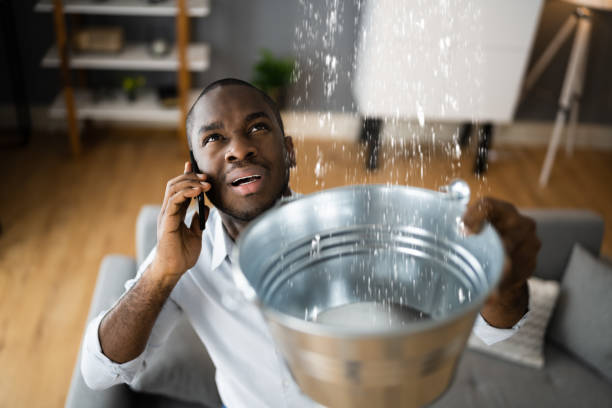 Best 24/7 water damage repair  in Littleton Common, MA