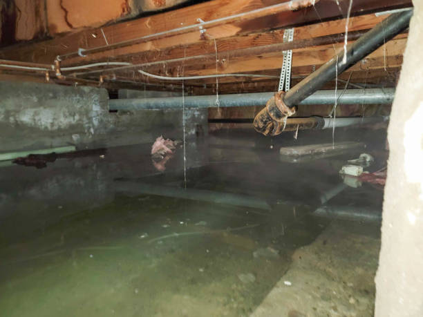 Best Sewage cleanup and water damage restoration  in Littleton Common, MA