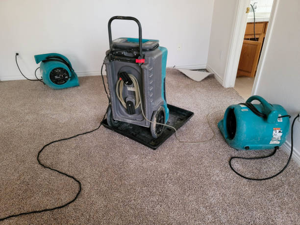 Trusted Littleton Common, MA Water damage restoration Experts