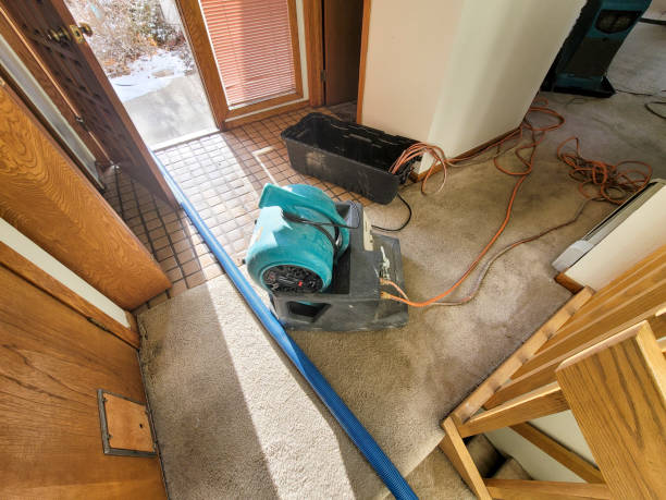 Best Residential water damage restoration  in Littleton Common, MA