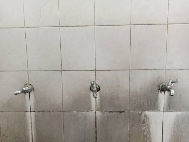 Best Professional water damage repair  in Littleton Common, MA