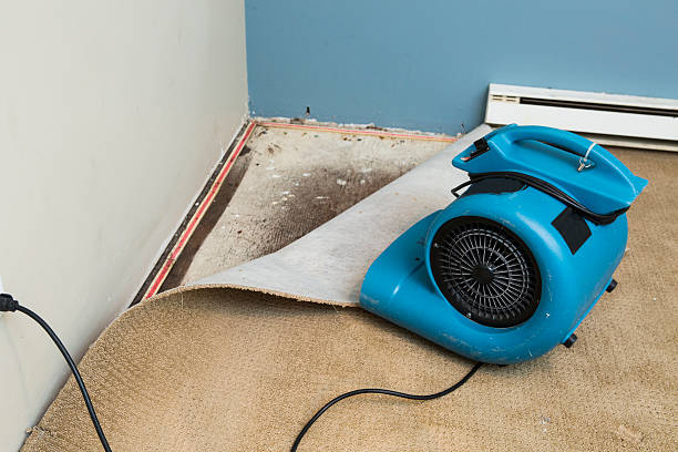 Best Sewage cleanup and water damage restoration  in Littleton Common, MA